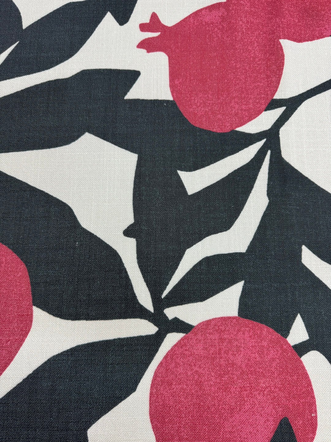 Life in Color - Cardinal