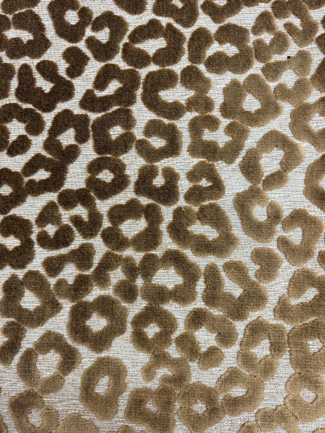 brown, velvet, cheetah, upholstery fabric by the yard