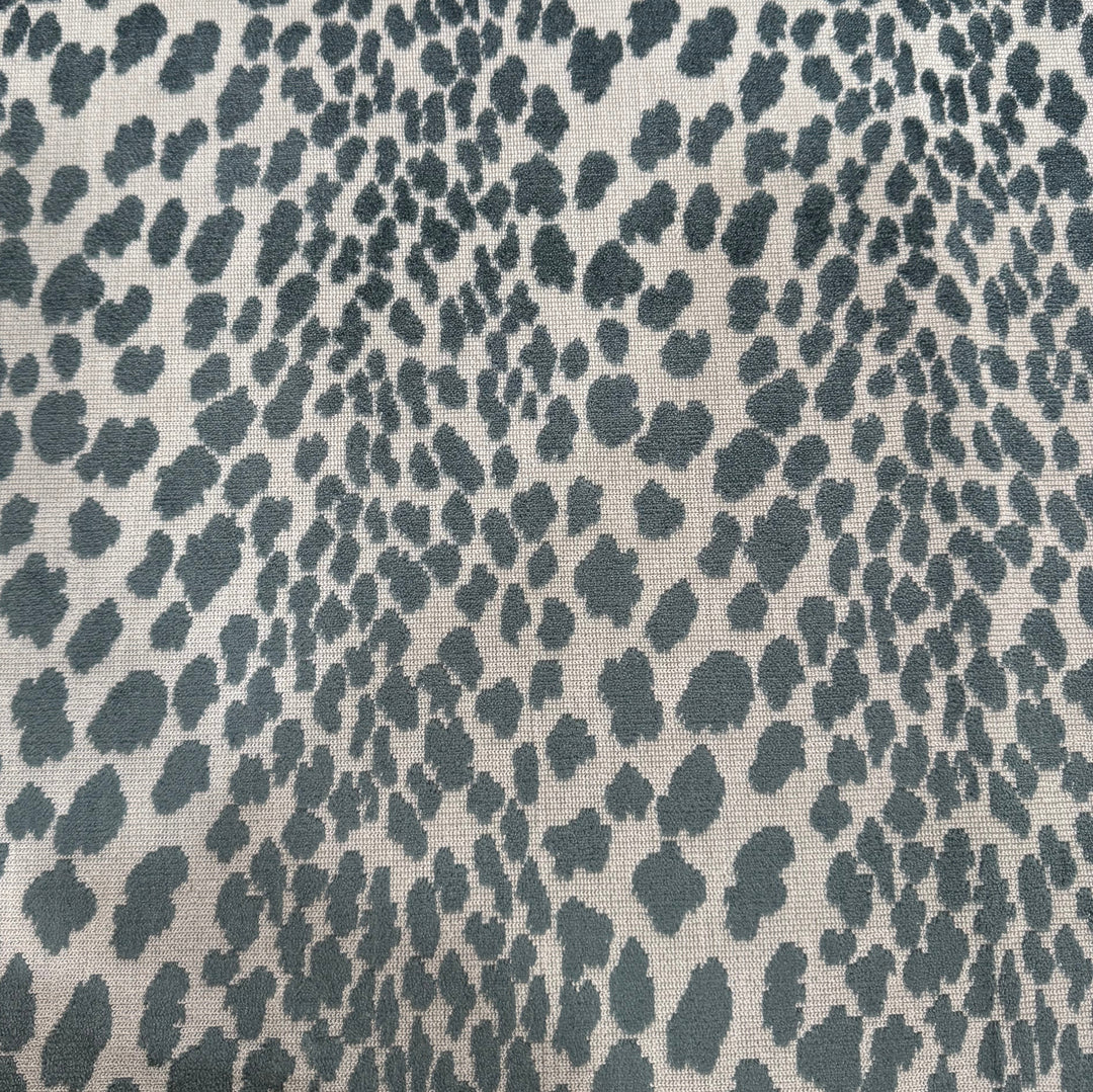 Seeing Spots - Aqua