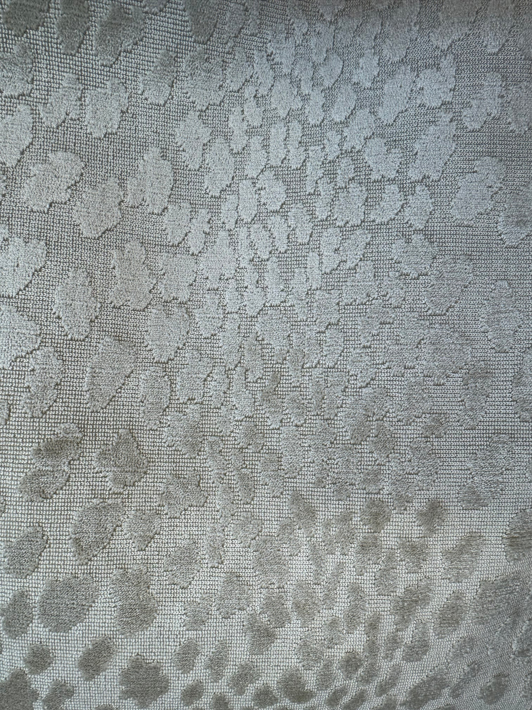 Seeing Spots - Ivory