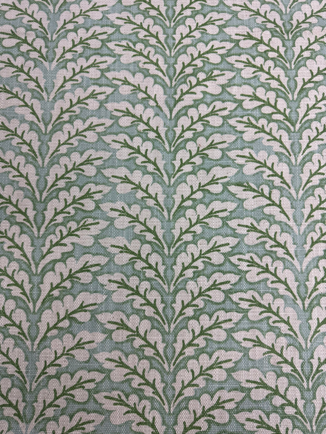 Spencer - Tendril Green