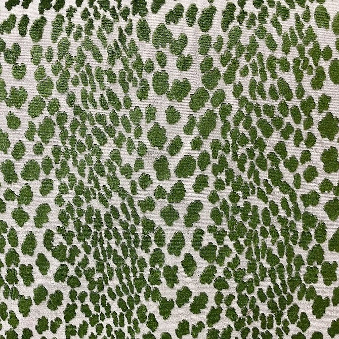 Seeing Spots - Jungle