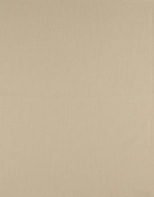 Canvas - Vellum 5498