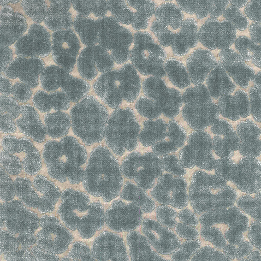 Regal Chava – Blue Star