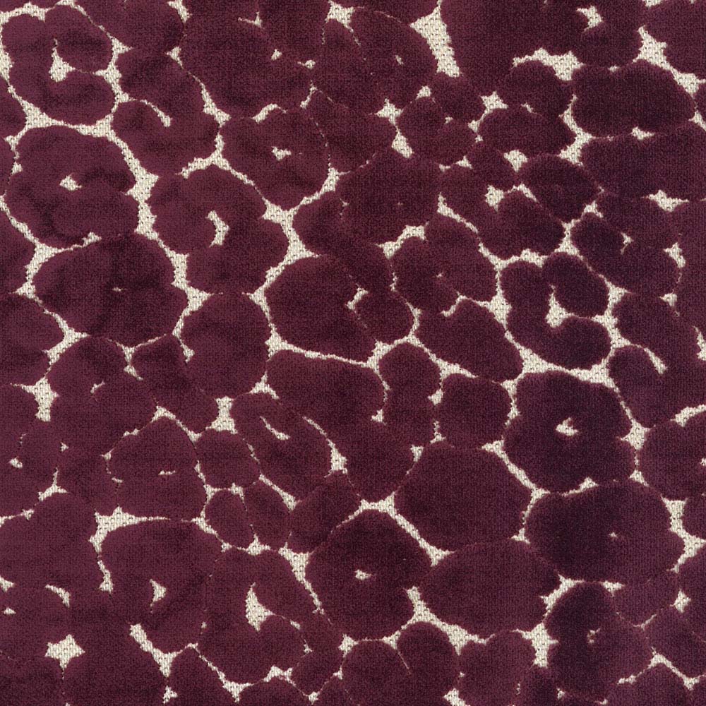 Regal Chava – Currant