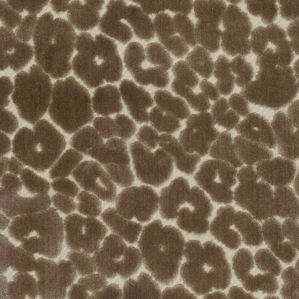 Regal Chava – Mushroom