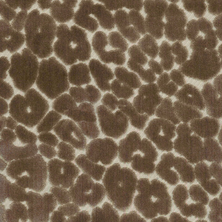 Regal Chava – Mushroom
