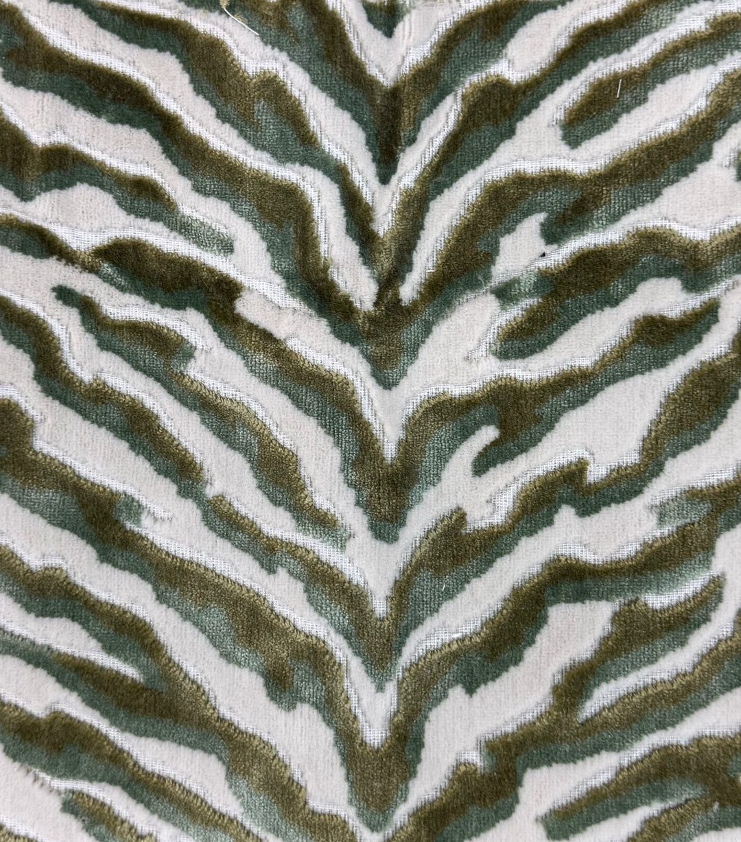 Ziggy - Forest