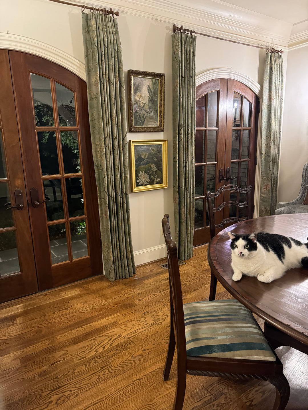 A black and white cat lies on a round wooden dining table in a home dining room with hardwood floors, green curtains, and wooden French doors.