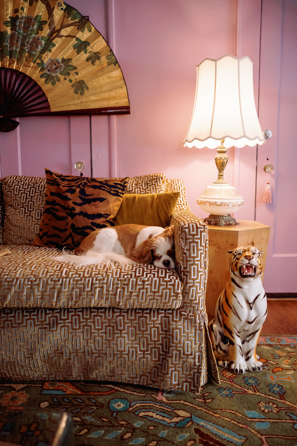 gold sofa with dog sleeping on it and purple walls