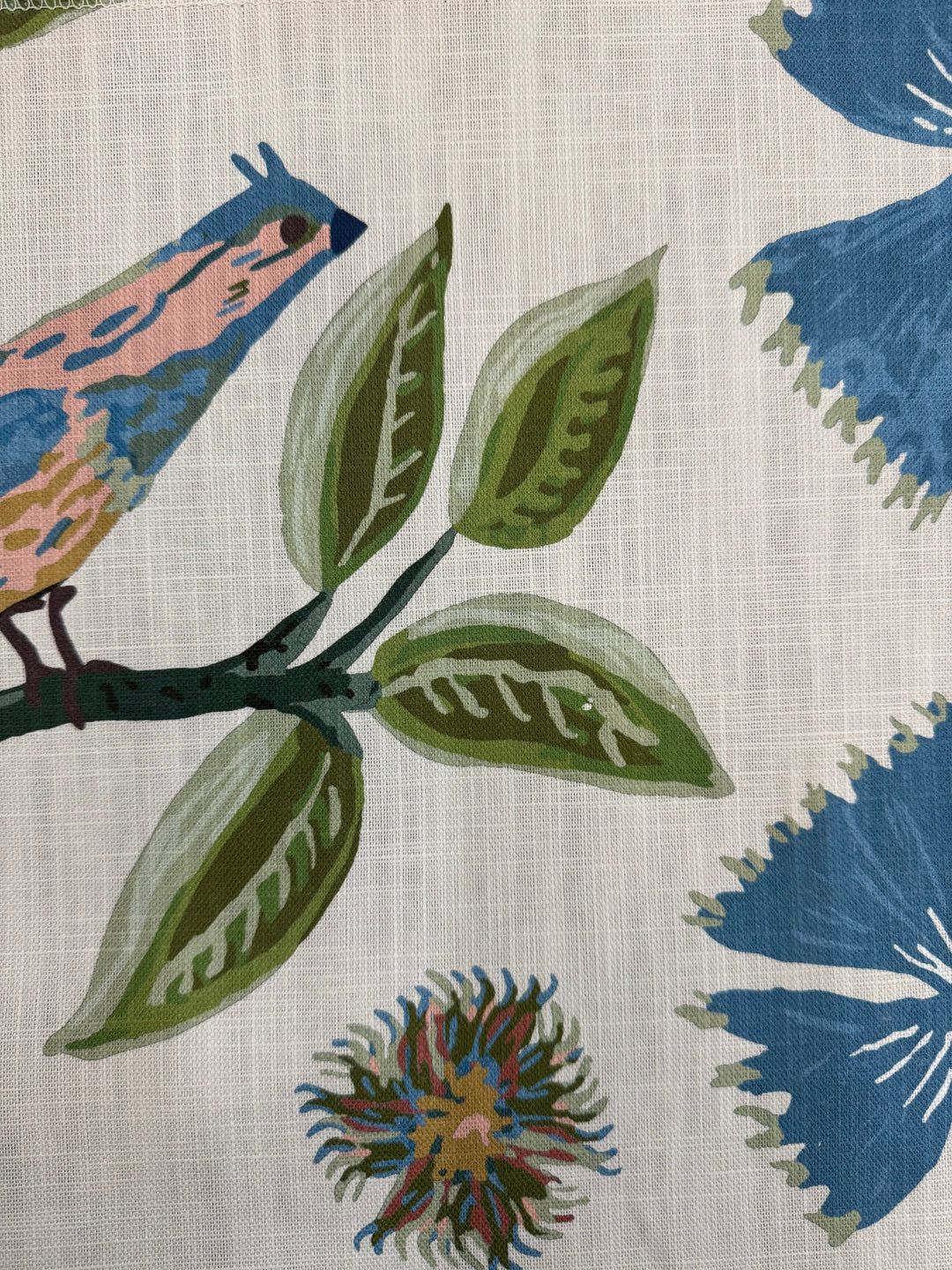 Birds of Paradise - Bali