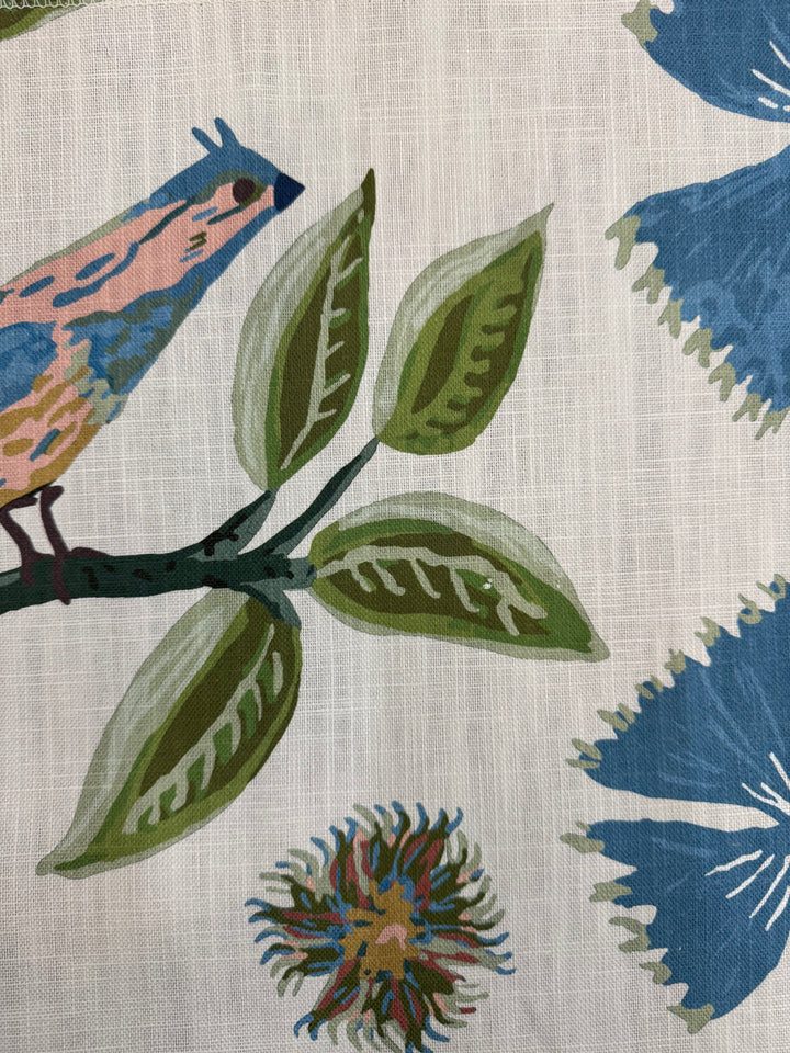 Birds of Paradise - Bali