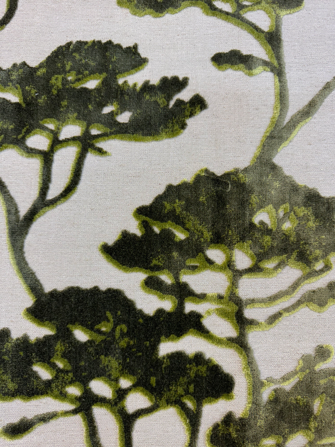 Serengeti - Botanical