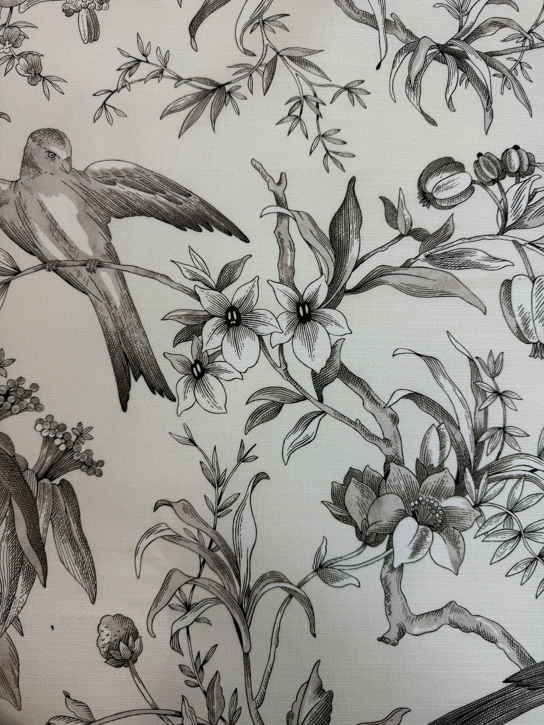 Audubon in Parchment Kaufmann Floral Print