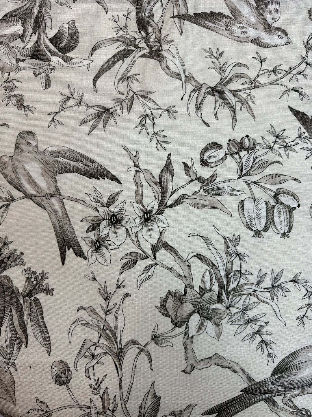 Audubon in Parchment Kaufmann Floral Print