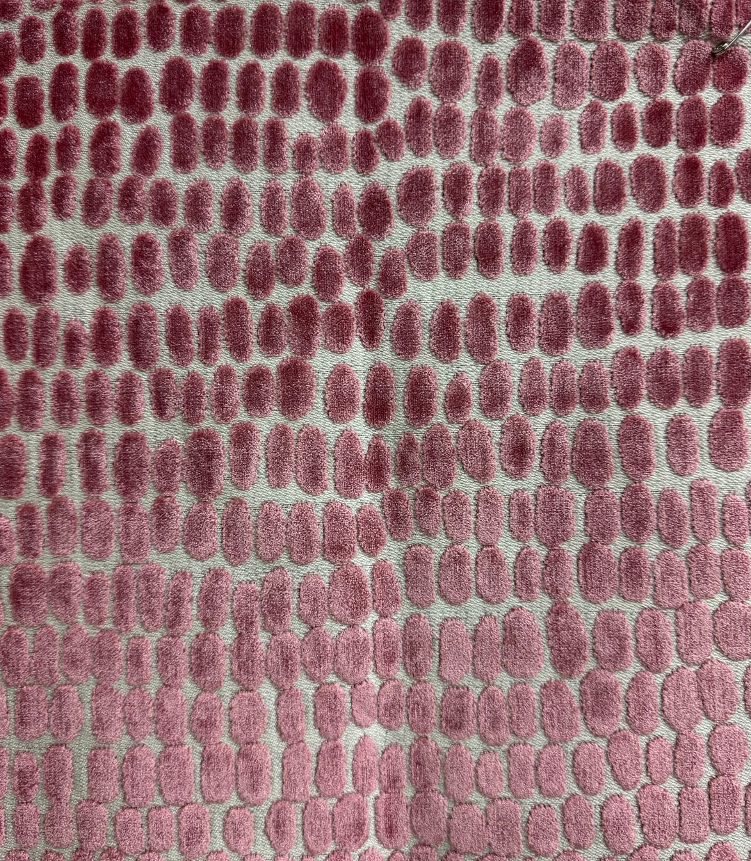 pink dotted cut velvet