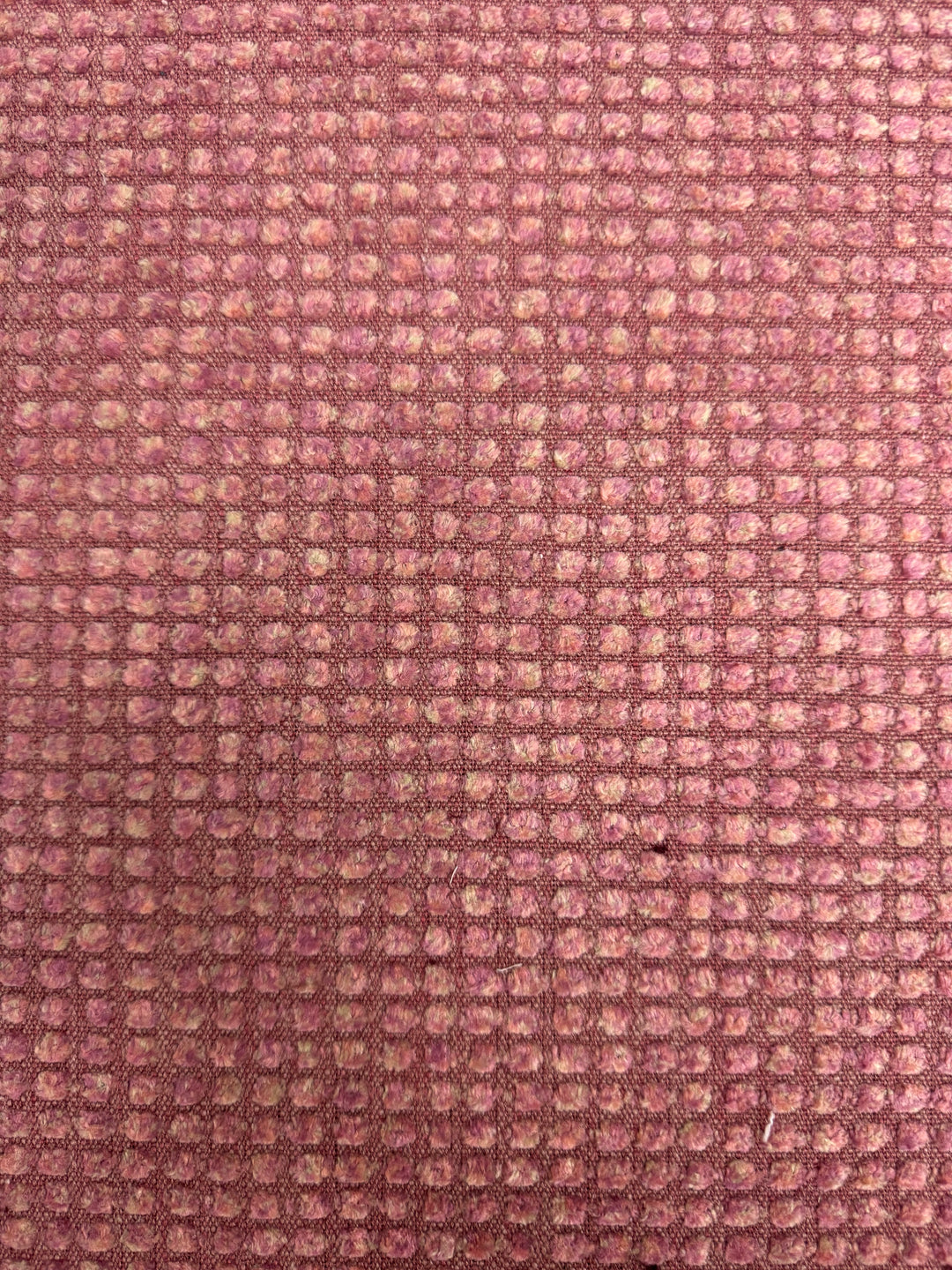 Forcefield - Coral