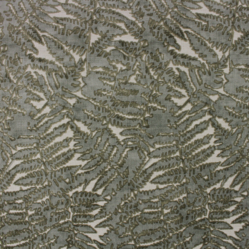 Rozina - Lichen