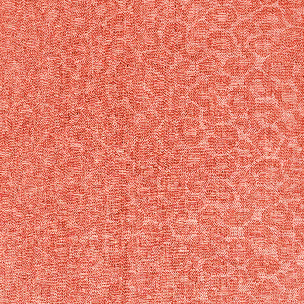 Regal Tito – Coral