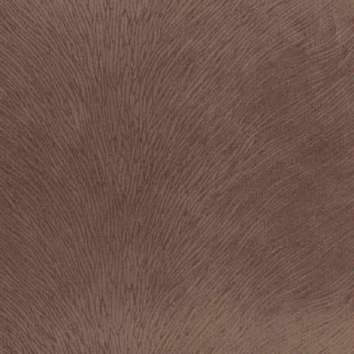 Regal Venture – Cocoa
