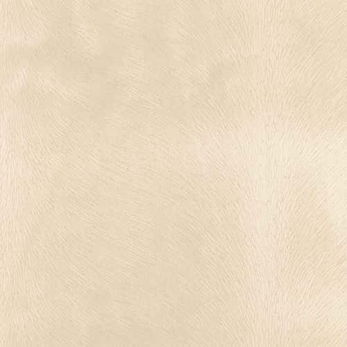 Regal Venture – Ivory